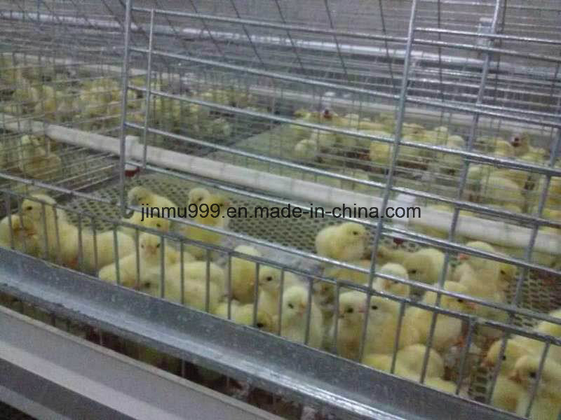 High Quality 3-4 Tiers Poulty Farm Equipment Pullet Chicen Cage
