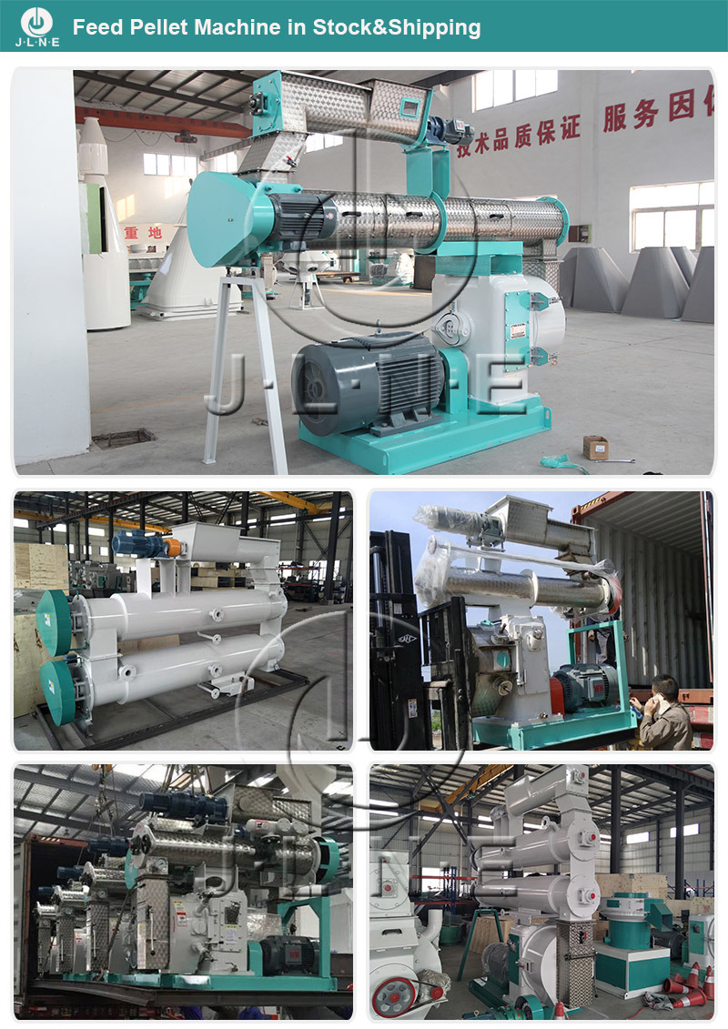 Top Manufactures Granulator Poultry Chicken Feed Pellet Mill Machine