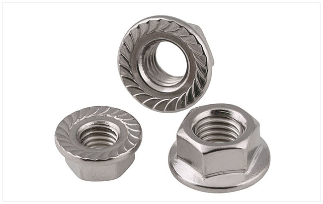 Non-Standard Stainless Steel Hexagon Head Hex Flange Nut