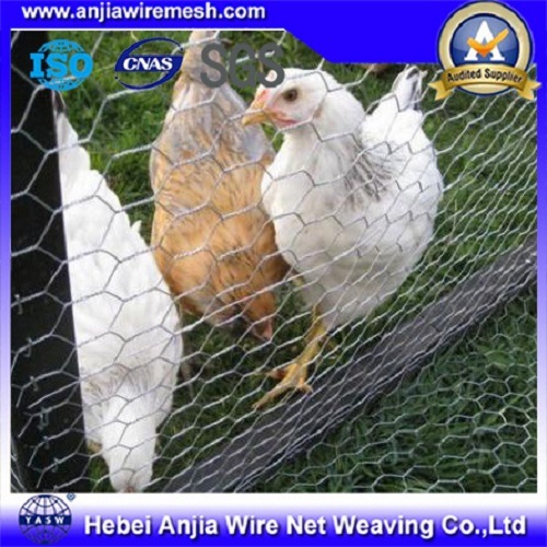 PVC Coated Galvanized Hexagonal Wire Chicken Mesh