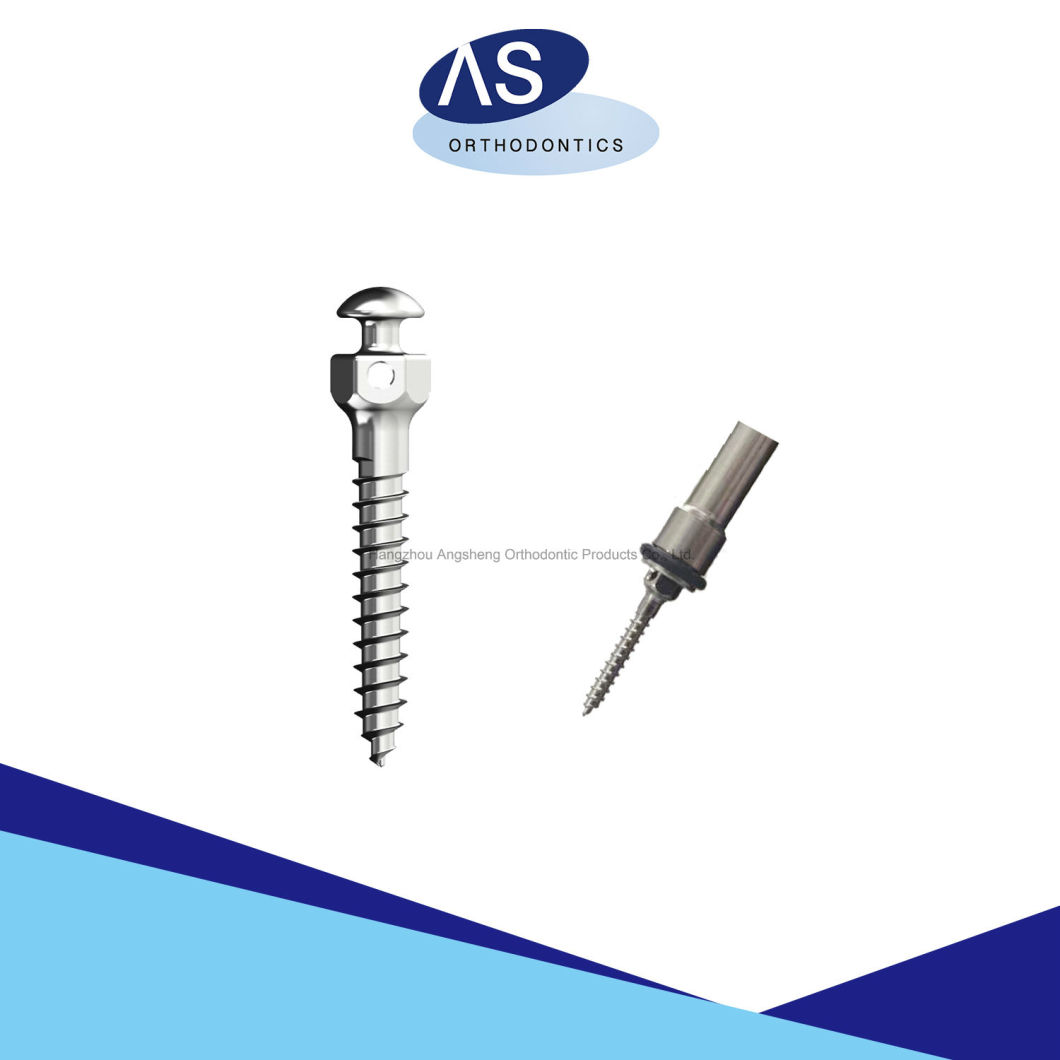 Orthodontic Anchorage Screws Mini Screws Dental Screws