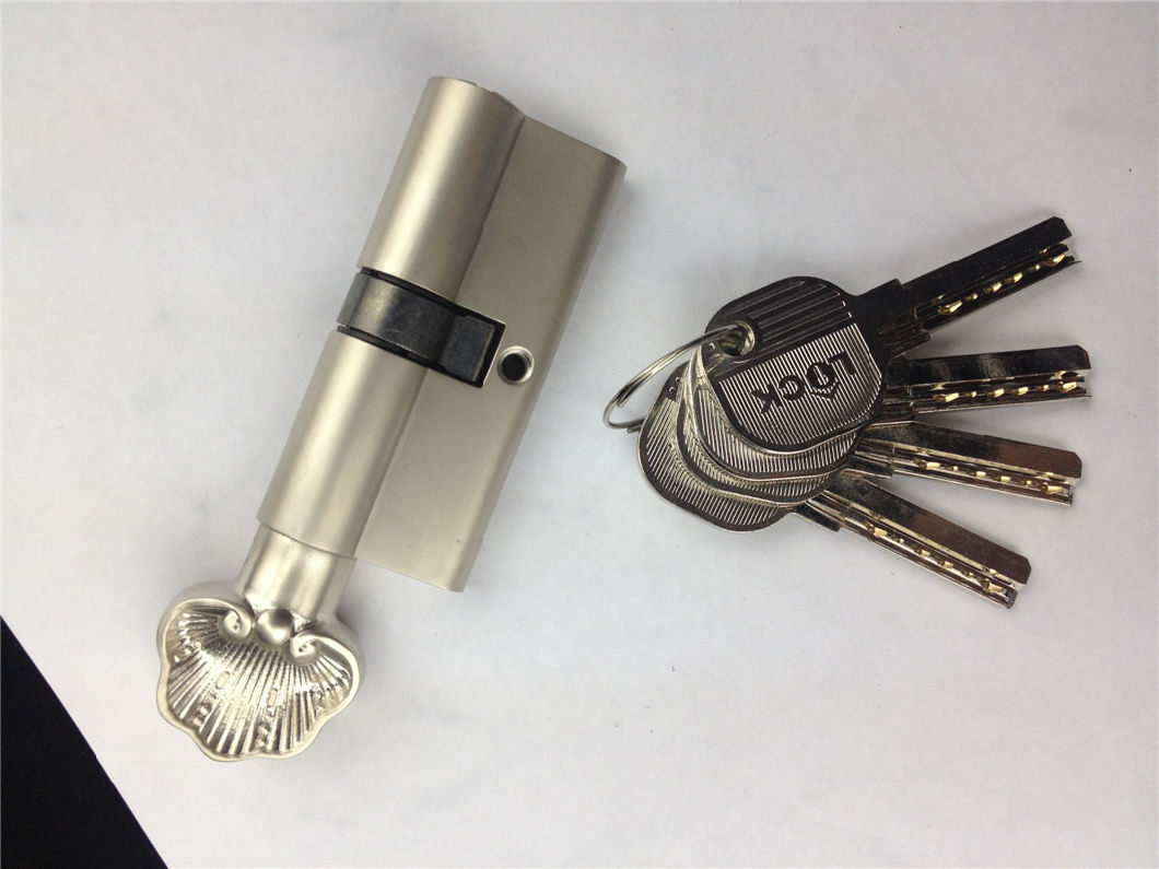 High Security Brass Computer Key Cylinder (L70 5C S1)