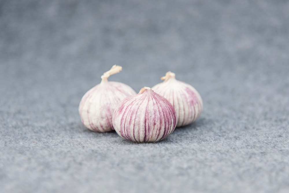 High quality fresh single clove garlic High quality fresh single clove garlic