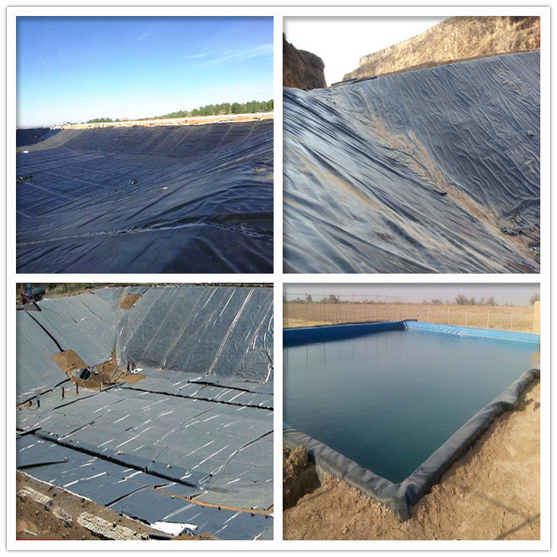 Ponds Liner for Fish / Shrimp Farming HDPE Geomembrane for Sale