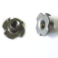 Hot Sale in China Tee Nuts with Good Quality, New