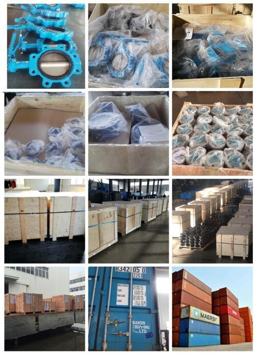 Lugged Wafer Type Butterfly Valve