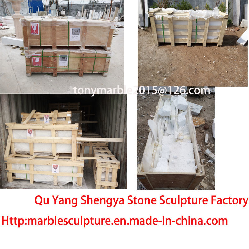 Hot Selling High Quality White Marble Fireplace Surround Flowers (SY-MF149)
