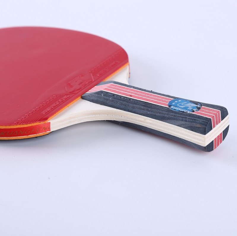 Ittf Approved Sport Table Tennis Training Paddles at Best Price