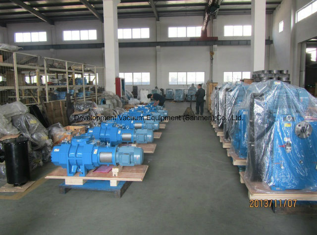 Double-Stages Rotary Piston Vacuum Pump for Oil Dehydration Machine