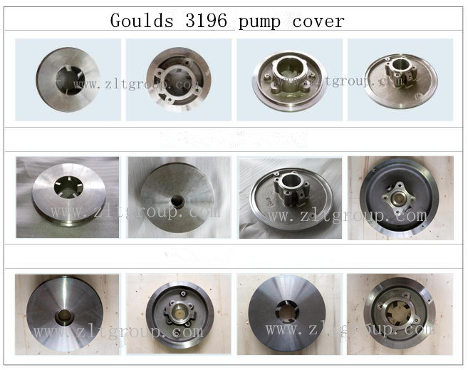 ANSI Goulds 3196 Pump Back Plate by Sand Casting