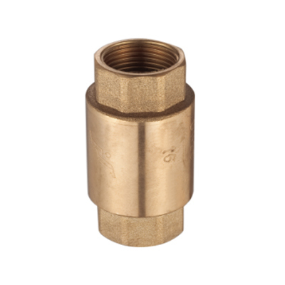 Precision Machining Brass Vertical Check Valve