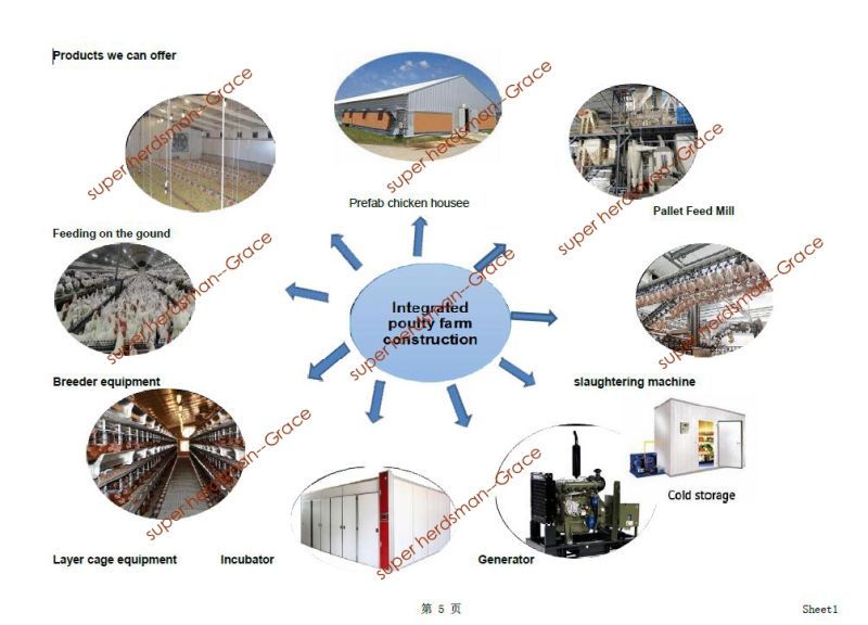 Automatic a Type or H Type Layer Cages From China