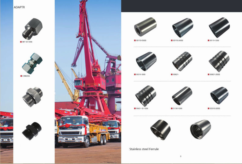 Hydraulic Hose/ Hose Fitting/ Hydraulic Fitting