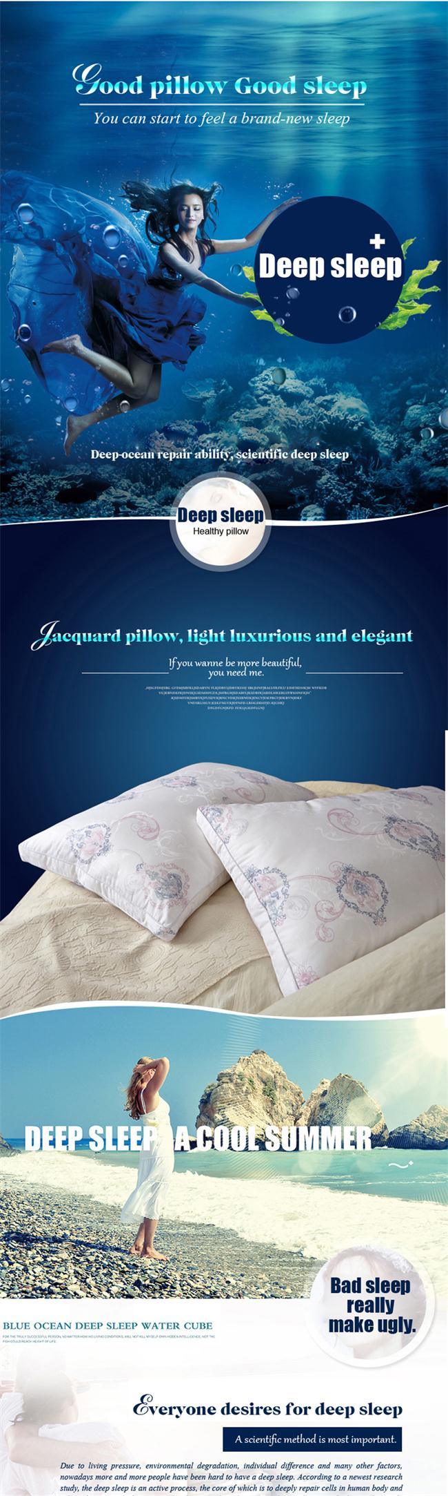 Five Star Hotel Professional Pillow Supplier 100%Cotton Fabric Microfiber Filling Cheap Pillow