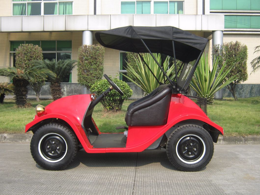 Fashionable Electric Bubble Car 2 Seats Mini Golf Cart