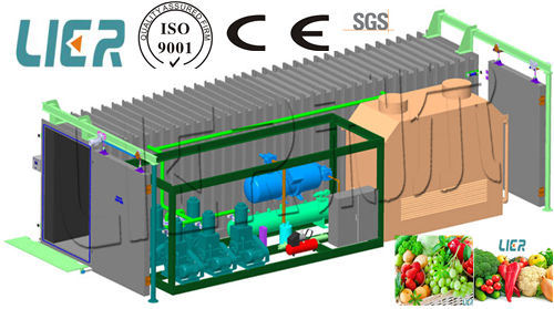 Ce Approved Fast Cooling Vegetables Vocuum Cooler