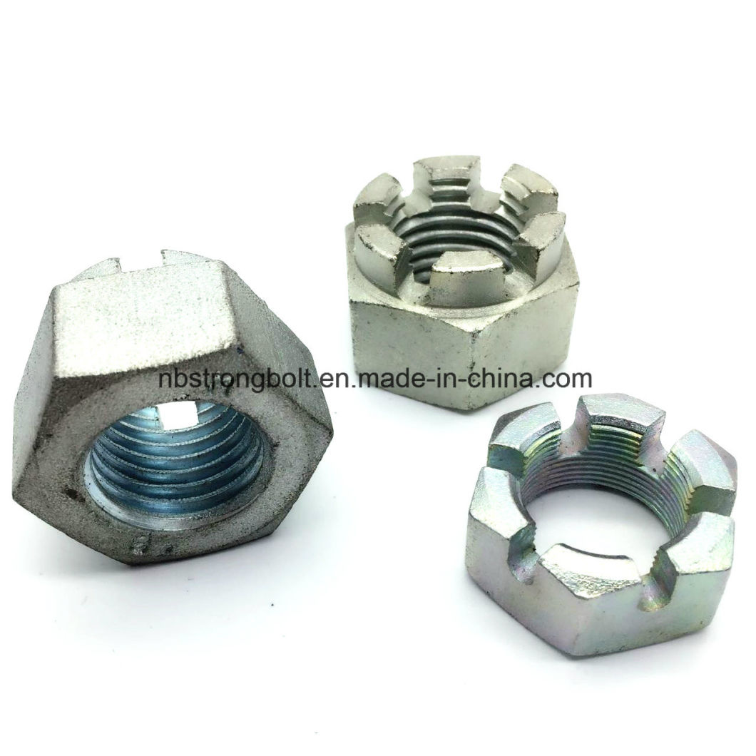 Hex Slotted Nuts DIN935 with Zp