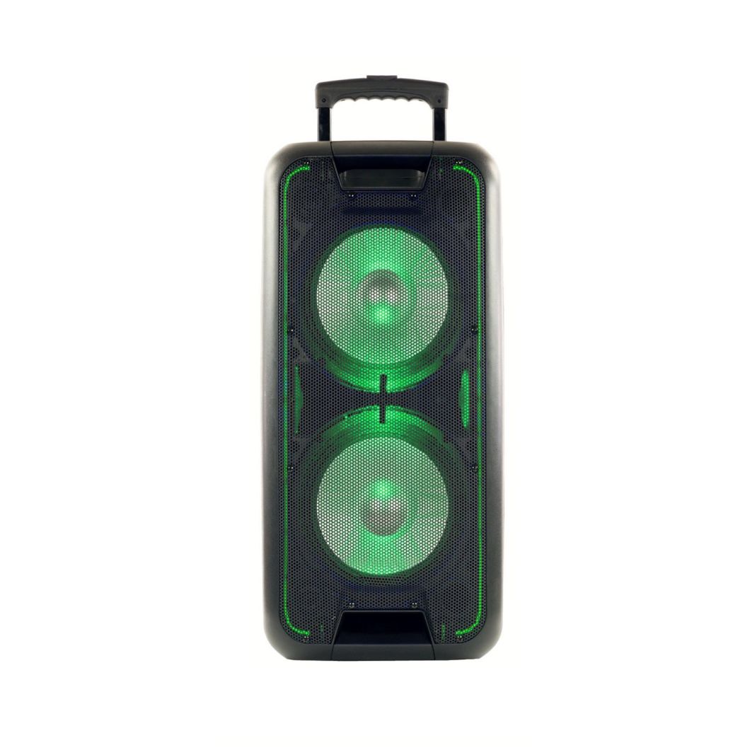 Double 12 Inch Active PRO Audio Speaker Sound Box Trolley Bluetooth Speaker