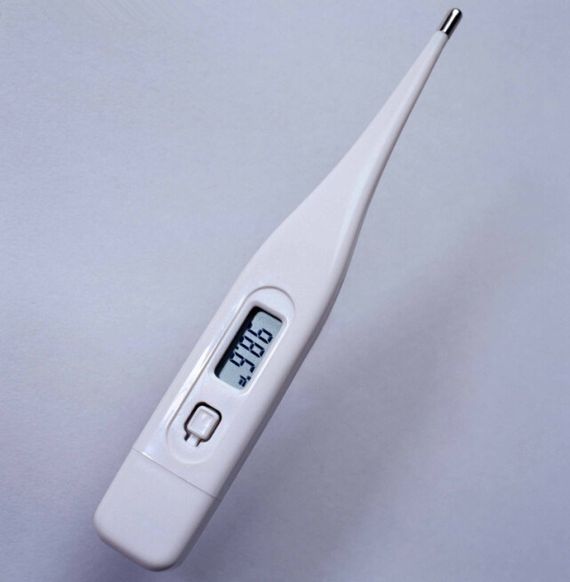 SIP Texnet Digital Thermometer