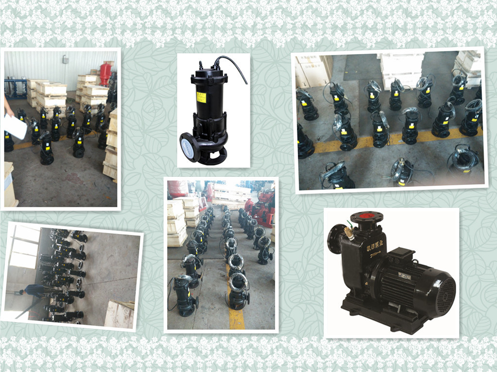 Automatic S. S Waste Water Submersible Sewage Cutter Pump