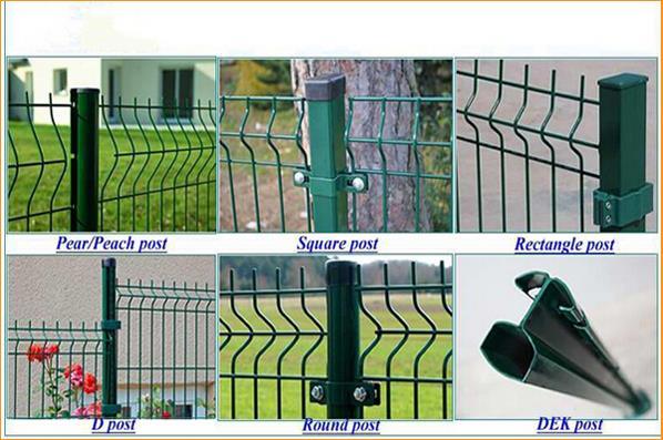 PVC Coated Security Electro Galvanized Welded Steel Wire Mesh Garden Fence