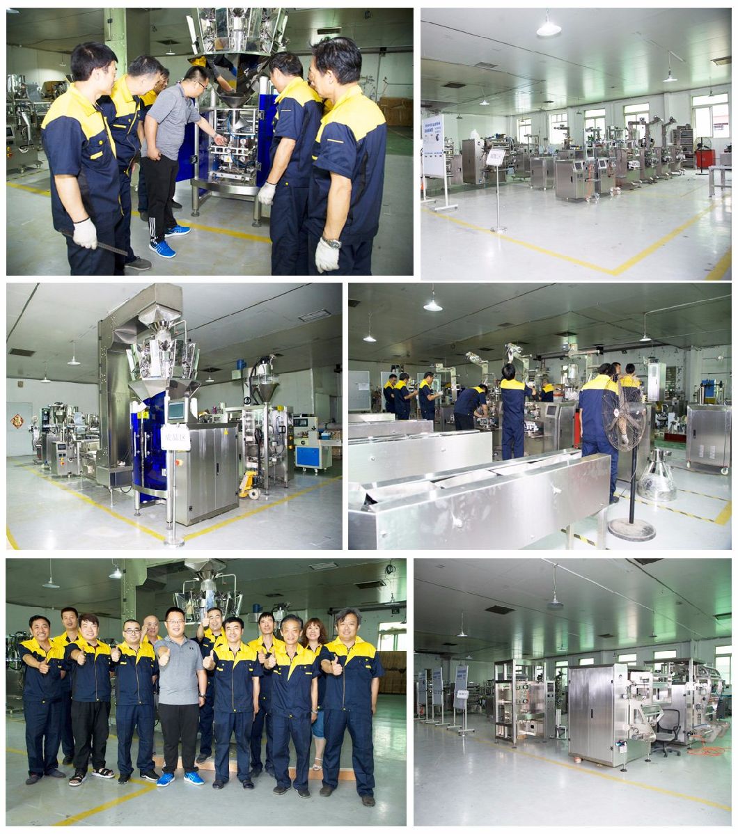 Factory Multi-Function Potato Chips Packing Machine