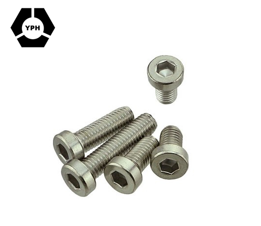 Ss304 Screw DIN7984 Hex Socket Thin Head Cap Bolt