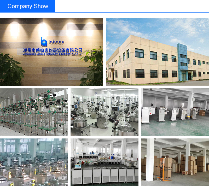 1L Lab Digital Display Rotary Evaporator Manufacturer in China