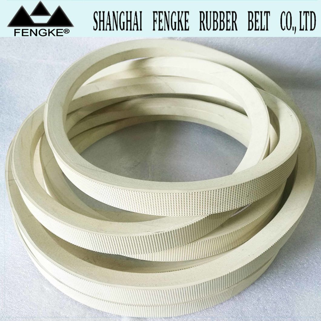 High Quality White Rubber V Belts 32X19X7650 for Wood Industry