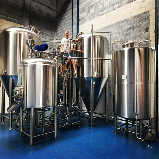 400L Microbrewery Equipment for Pub Ale Beer