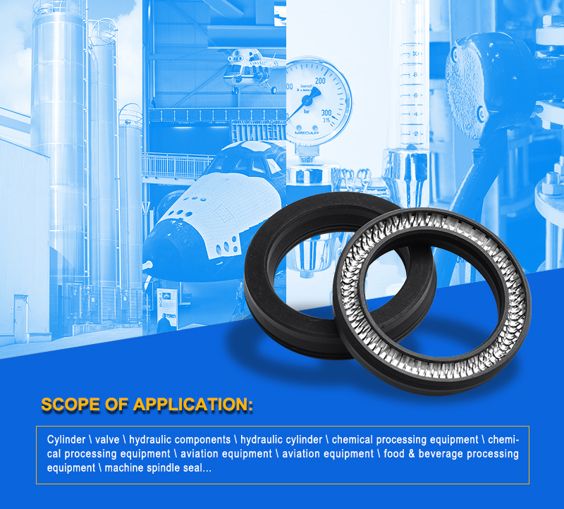 Gas Meter Spring Energized Seals with Professional Design