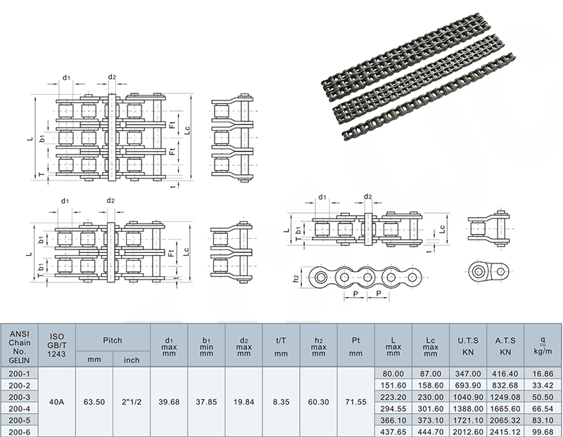 Double Pitch Transminnsion Roller Chains (B series)