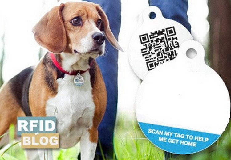 Popular China Factory Round Pet ID Tags for Dog Tracking