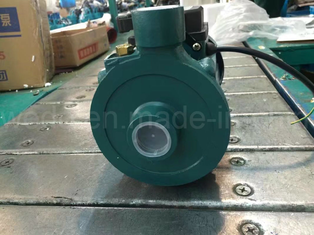 High Quality Electric Centrifugal Water Pump (1DK-20)