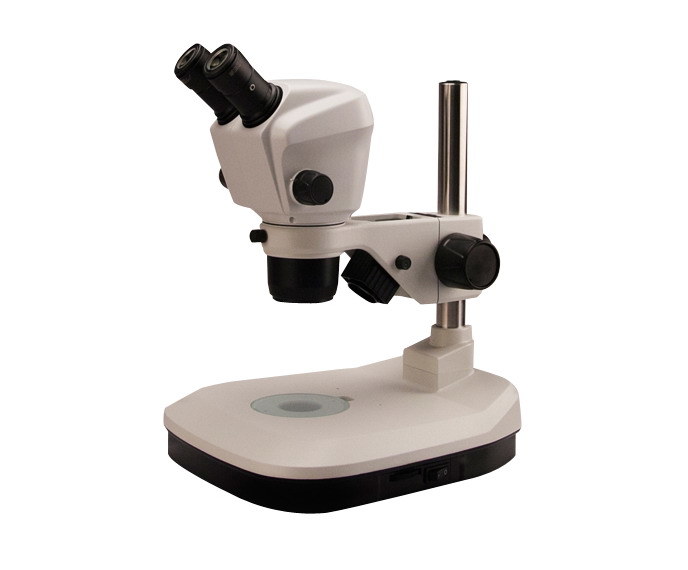 Parallel Optical Zoom Stereo Microscope