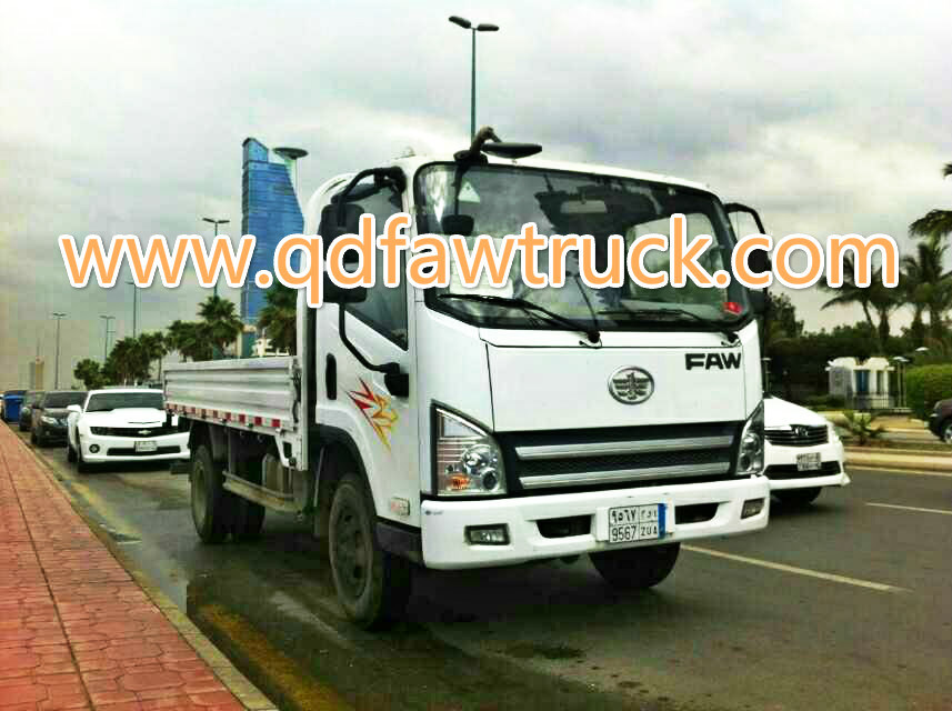 China Hot Selling light truck/ Diesel Cargo Truck