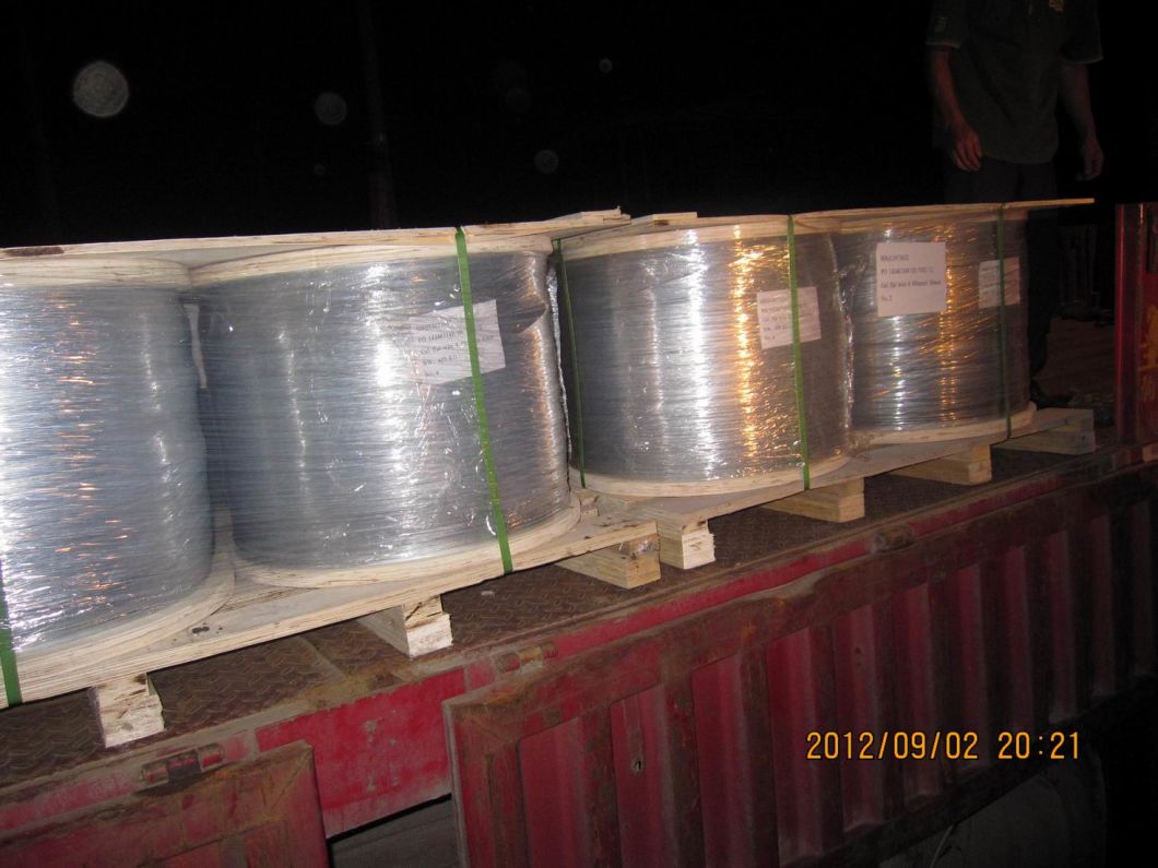 Galvanized Flat Wire in Wooden Spool