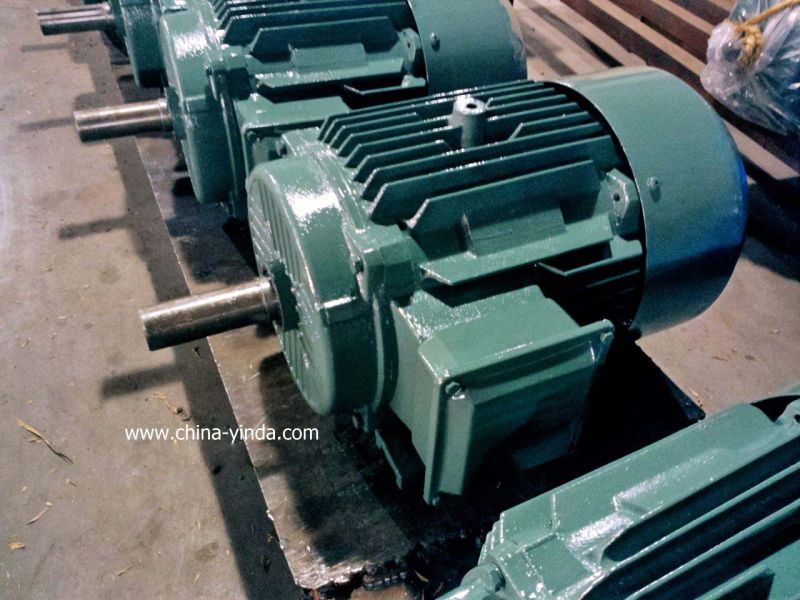 0.55~200kw High Efficiency Three Phase Induction Motor Ie2