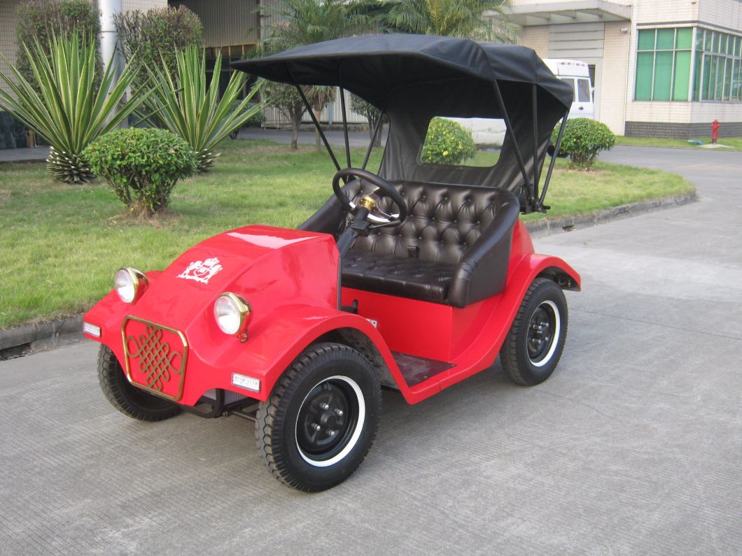 Fashionable Electric Bubble Car 2 Seats Mini Golf Cart