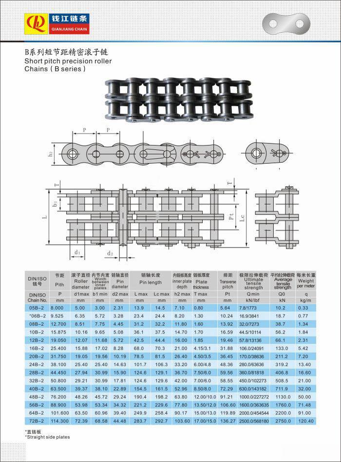 Double Pitch Precision Roller Chain (32A-2)