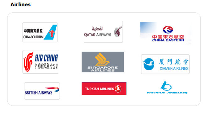 Professional China Air Shipping Agent From Shanghai/Shenzhen/Fuzhou to Singapore