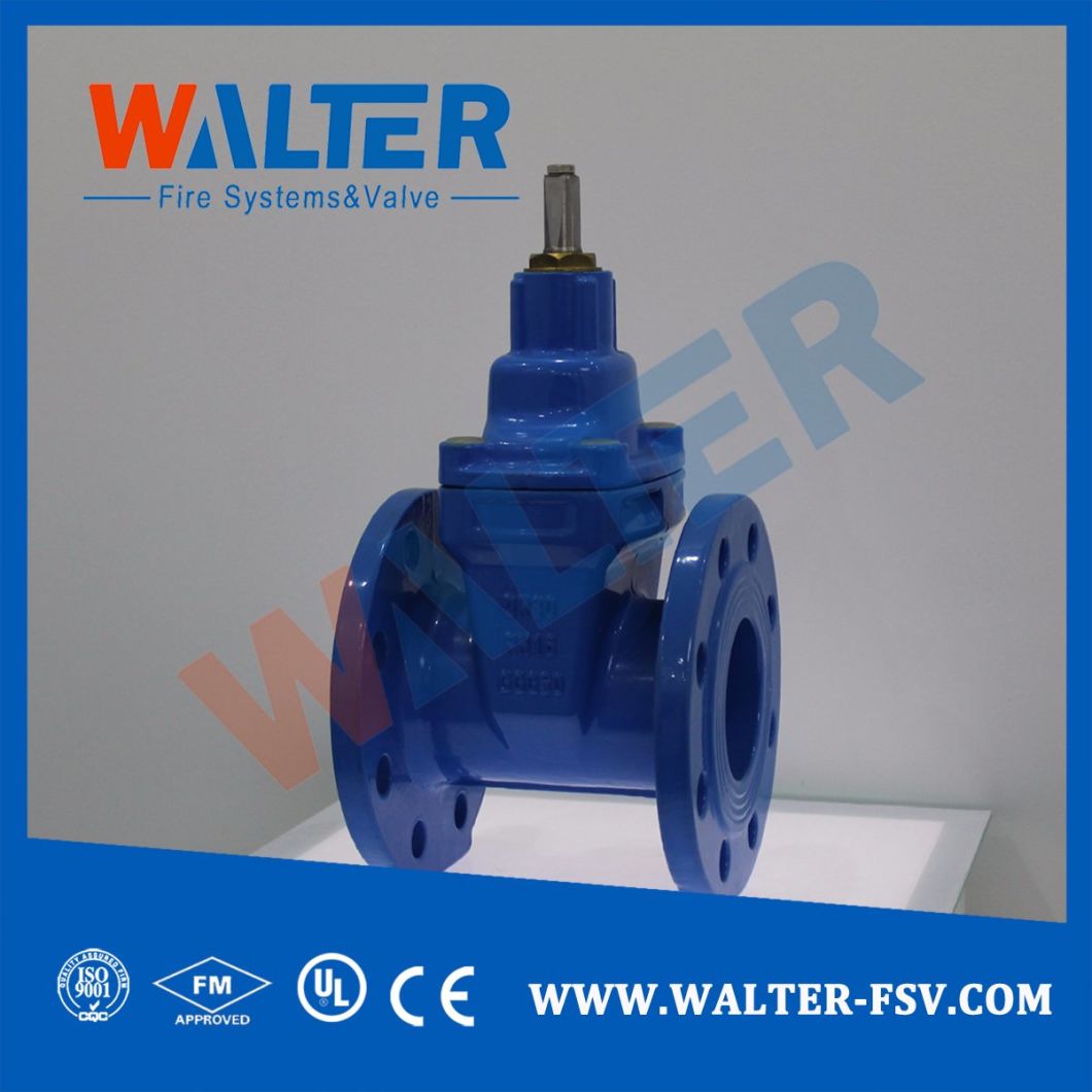 Resilient Seat Gate Valve for Water