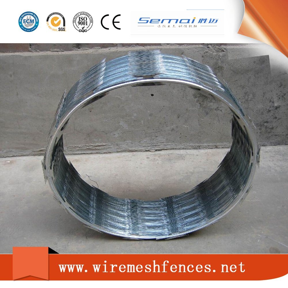 Galvanized Razor Wire Prison Fence