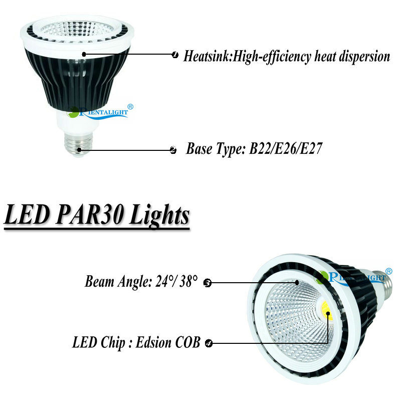 High Quality Aluminium 12W E27 E26 LED PAR30 Light
