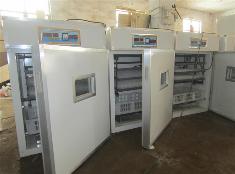 High Capacity 200W Egg Incubator Chicken Incubating Machine for Sale