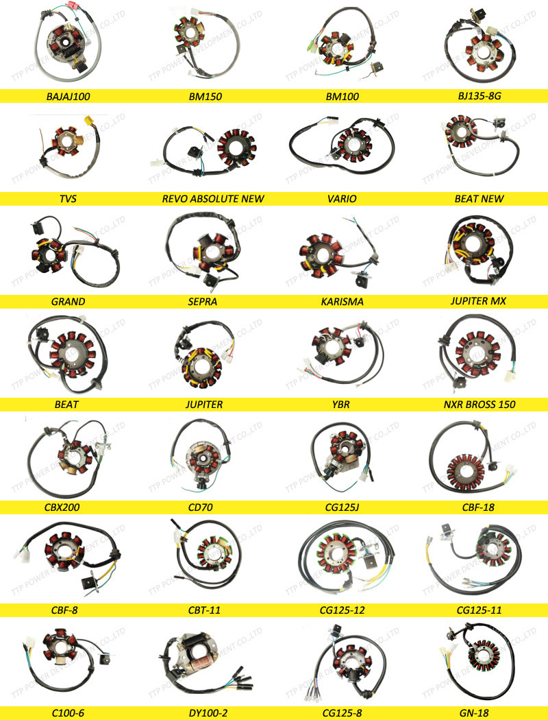 Bajaj100 Motorcycle Spare Parts Magneto Stator Coil, Ignition Coil
