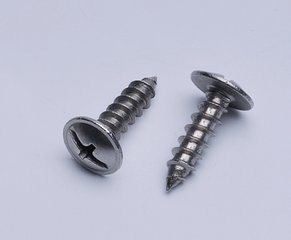 Modified Thruss Head Philips Coarse Thread Self-Tapping Screw 2016