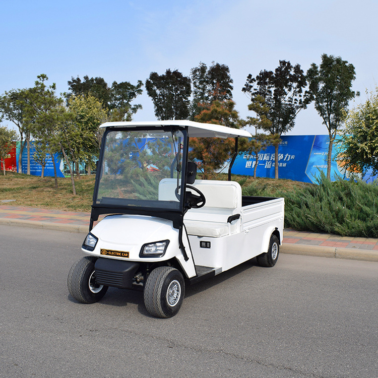 Mini Van / Hot Sale Electric Cargo Truck 0.5t