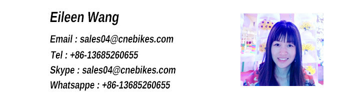 Chinese Factory MTB Electric Bicycle for Europe Market