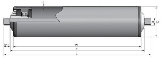 Custom Medium Duty Stainless Steel Gravity Conveyor Roller